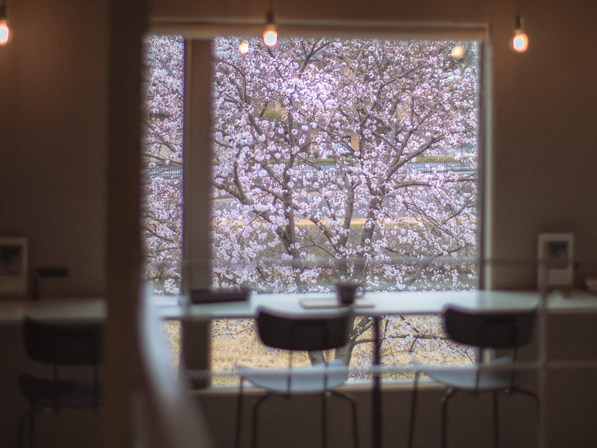 Cafe&Bar Chill's Kyoto:上賀茂神社近くの賀茂川沿いに佇む絶景カフェ