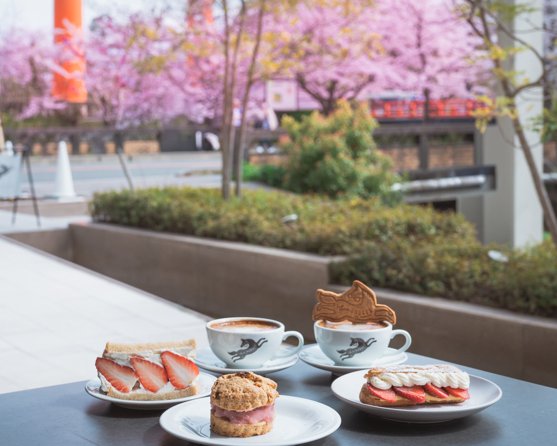 Three HORSES:平安神宮の大鳥居と桜を同時に望む