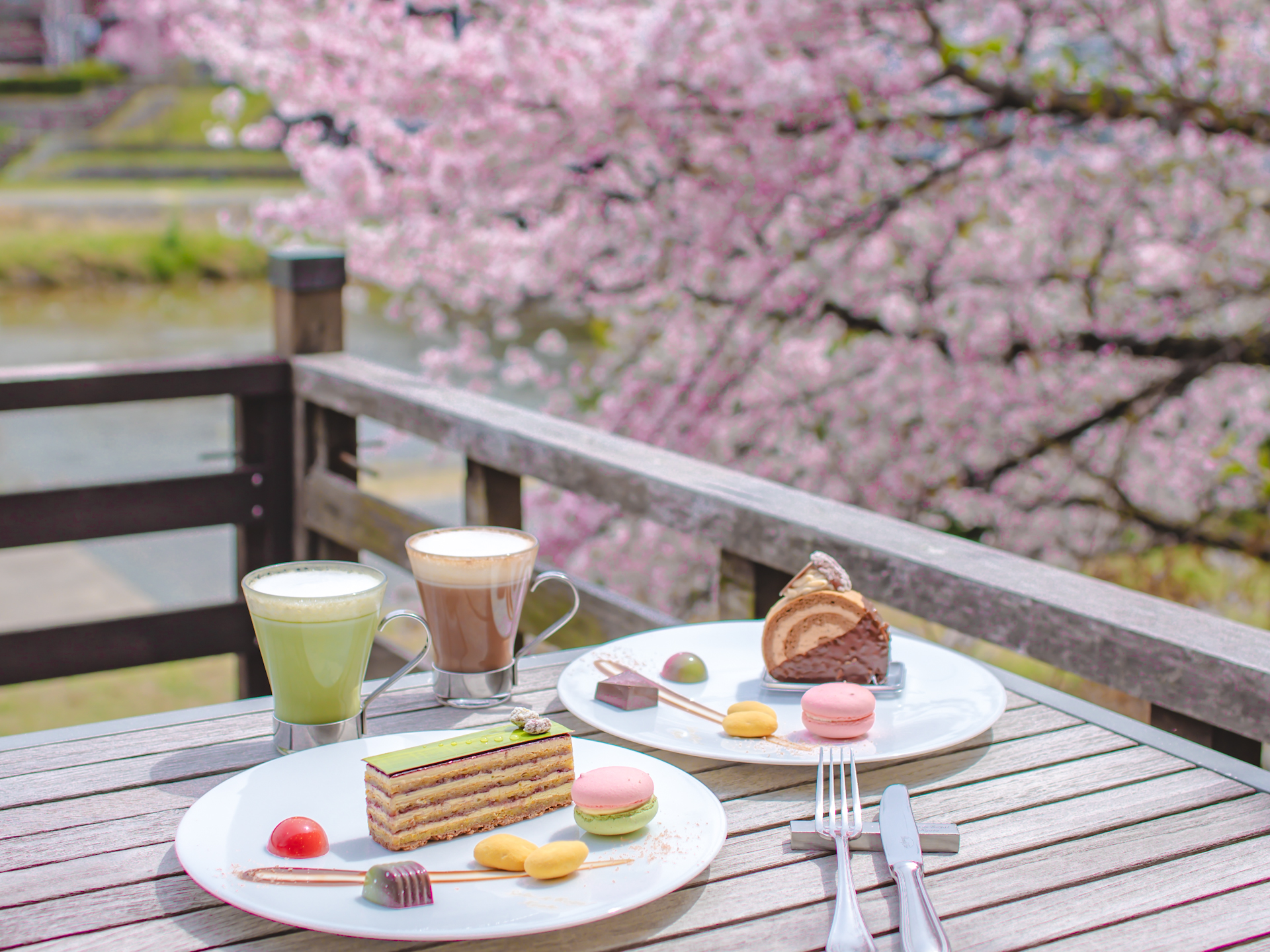 サロンドロワイヤル京都:鴨川を望むテラス席で楽しむ極上のスイーツ