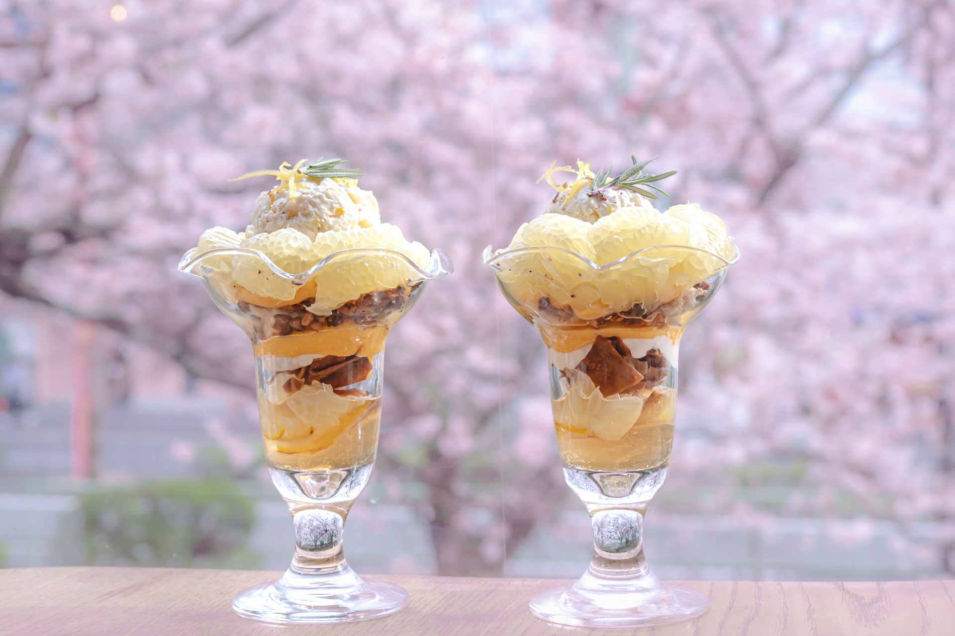 かかん京都店:大きな窓から白川疎水の桜を間近に感じる