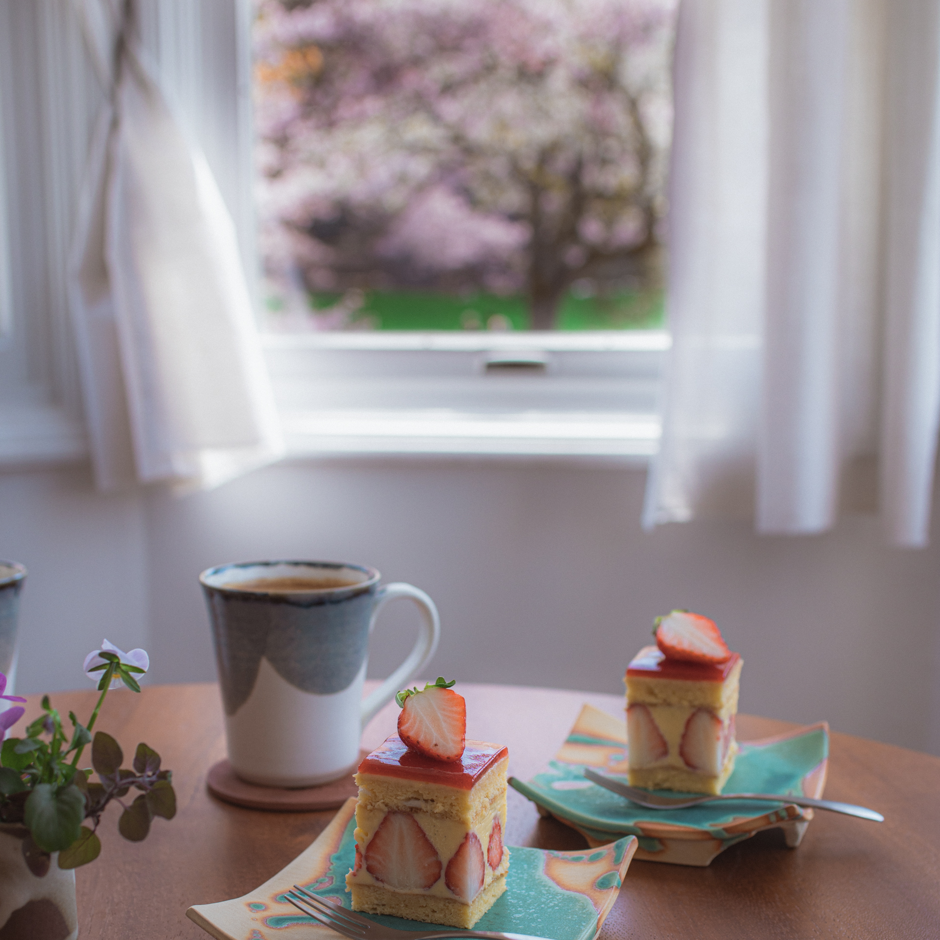 Cafe Mercredi:哲学の道に面したテラス席の風景