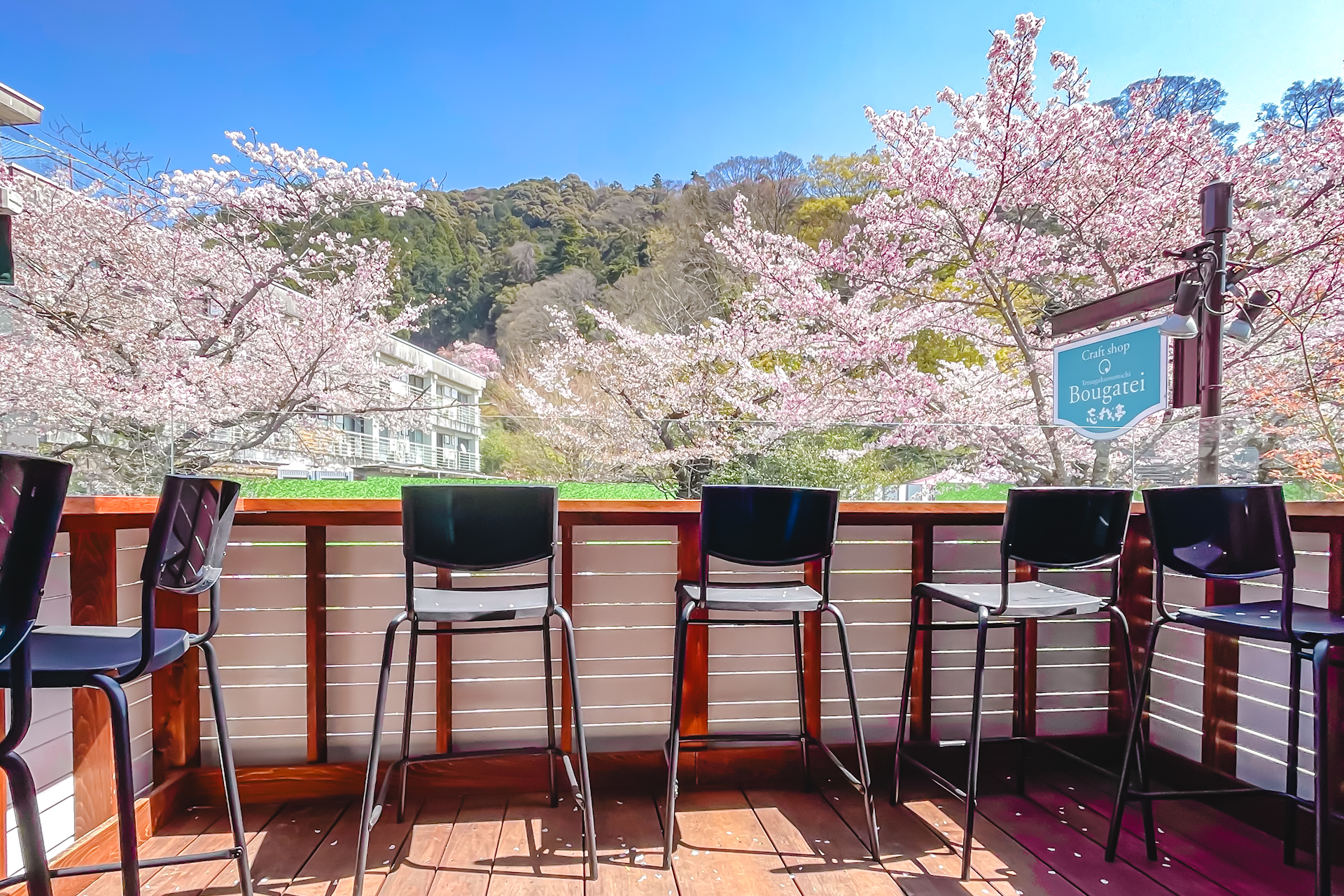 Cafe Mercredi:人気のパフェと桜のコラボレーション