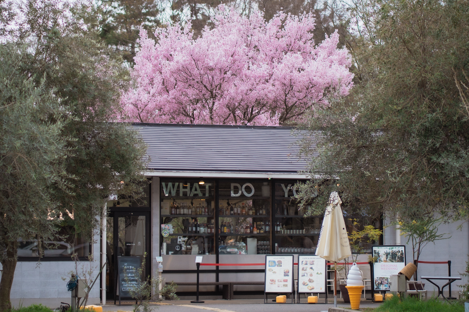 IN THE GREEN:植物園の広大な森と桜を望む