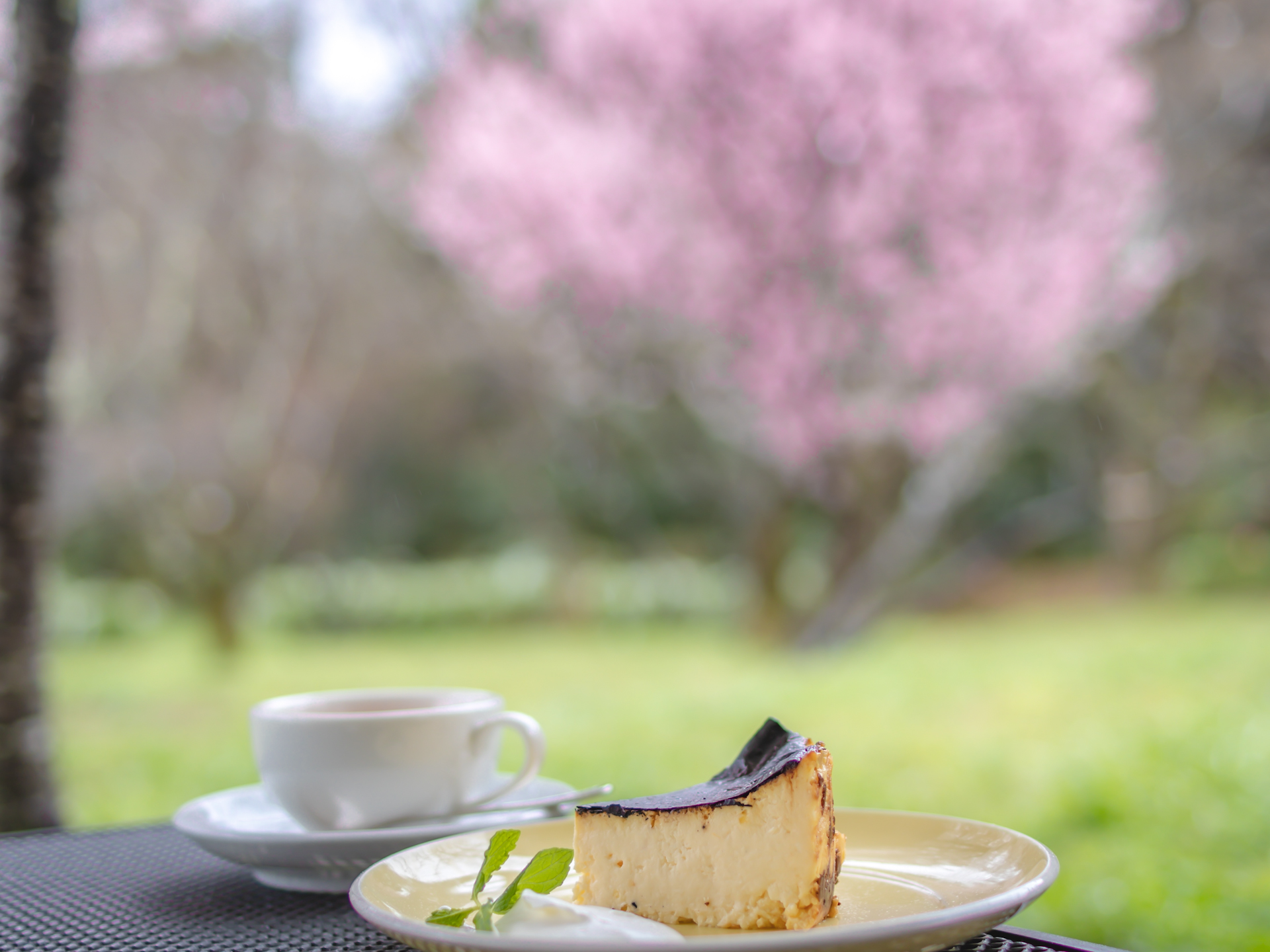 IN THE GREEN:開放的なテラスでの食事体験