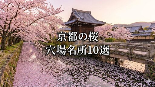 京都のおすすめ桜スポットを紹介しています
